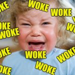 temper-tantrum | WOKE; WOKE; WOKE; WOKE; WOKE; WOKE; WOKE; WOKE; WOKE; WOKE; WOKE; WOKE | image tagged in temper-tantrum | made w/ Imgflip meme maker