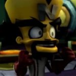 neo cortex