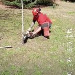 Tree work