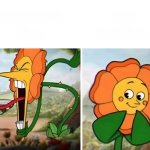floricica dansatoare meme