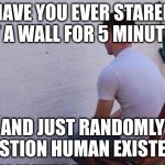Is it just me?? | HAVE YOU EVER STARED AT A WALL FOR 5 MINUTES; AND JUST RANDOMLY QUESTION HUMAN EXISTENCE | image tagged in staring at wall,deep thoughts,funny,memes,fun,extistenial crisis | made w/ Imgflip meme maker