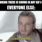 qr 3gr j3gi9r | ME THINKING THERE IS SOUND IN ANY GIF I CREATE; EVERYONE ELSE: | image tagged in gifs,memes,gif | made w/ Imgflip video-to-gif maker