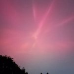 Aurora memphis Susan