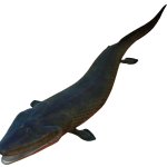 titaalik