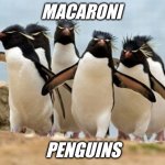 Penguin macaroni