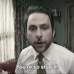 You're So Stupid (Charlie from Always Sunny IASIP)
