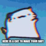 4 the people | HERE IS A CAT TO MAKE YOUR DAY! | image tagged in gifs,cat | made w/ Imgflip video-to-gif maker