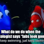 Finding Lupus | What do we do when the Rheumatologist says “labs look good”, we… | image tagged in gifs,sick,illness,doctor,test | made w/ Imgflip video-to-gif maker