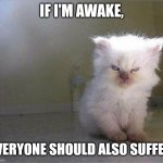 Awake | IF I'M AWAKE, EVERYONE SHOULD ALSO SUFFER. | image tagged in mad cat | made w/ Imgflip meme maker
