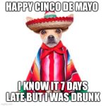 Cinco de Mayo | HAPPY CINCO DE MAYO; I KNOW IT 7 DAYS LATE BUT I WAS DRUNK | image tagged in cinco de mayo | made w/ Imgflip meme maker