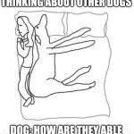 Doggie thoughts | HUMAN: I BET HE'S THINKING ABOUT OTHER DOGS; DOG: HOW ARE THEY ABLE TO WALK ON JUST TWO LEGS? | image tagged in dog sharing bed | made w/ Imgflip meme maker
