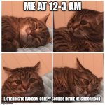 Me at 12-3 AM | ME AT 12-3 AM; LISTENING TO RANDOM CREEPY SOUNDS IN THE NEIGHBORHOOD | image tagged in nervous cat | made w/ Imgflip meme maker