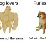 Buff Doge vs. Cheems | Dog lovers; Furies; We are not the same; BuT YoU LOve DoGS | image tagged in memes,buff doge vs cheems | made w/ Imgflip meme maker