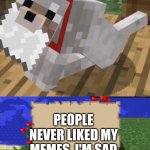 ?‍? | PEOPLE NEVER LIKED MY MEMES, I'M SAD | image tagged in minecraft mail | made w/ Imgflip meme maker