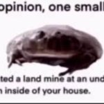Nice opinion, one small issue | image tagged in nice opinion one small issue | made w/ Imgflip meme maker