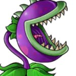 Chomper