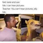 Camel doesn’t want to be touched | image tagged in i can hear pictures,funny,memes,camel,saudi arabia,youtube | made w/ Imgflip meme maker