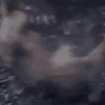 Kong x Baby Kong Beatdown! GIF Template