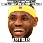The best thing I learned from school | IF MULTIPLE QUIZZES ARE CALLED QUIZZICALS WHAT ARE MULTIPLE TEST CALLED; TESTICLES | image tagged in lebron james | made w/ Imgflip meme maker