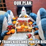 Blahaj memes | OUR PLAN:; HELP TRANS KIDS AND PUNISH BIGOTS | image tagged in blahaj meeting | made w/ Imgflip meme maker