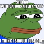 No notifications ? | STILL NO NOTIFICATIONS AFTER A YEAR? I THINK I SHOULD JUST QUIT | image tagged in sad frog | made w/ Imgflip meme maker