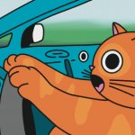 Cat iz driving meme