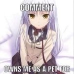 first person to comment owns as a pet for a week meme
