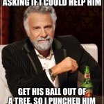 tell me this isn't relatable | "A KID WALKED UP TO ME ASKING IF I COULD HELP HIM; GET HIS BALL OUT OF A TREE. SO I PUNCHED HIM IN THE FACE AM I RELATABLE?" | image tagged in memes,the most interesting man in the world | made w/ Imgflip meme maker