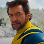 Wolverine profile