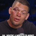 Nate Diaz Oh so you’re a wrestler now