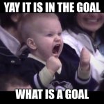Hockey baby | YAY IT IS IN THE GOAL; WHAT IS A GOAL | image tagged in hockey baby | made w/ Imgflip meme maker