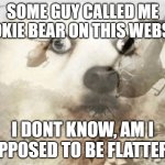 ME SCARED | SOME GUY CALLED ME POOKIE BEAR ON THIS WEBSITE; I DONT KNOW, AM I SUPPOSED TO BE FLATTERED | image tagged in ptsd dog,help me,ptsd chihuahua,dog,im in danger,send help | made w/ Imgflip meme maker