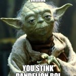 dandelion boi | MHM; YOU STINK DANDELION BOI | image tagged in memes,star wars yoda,creepy condescending wonka | made w/ Imgflip meme maker