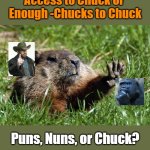 Buddy System | How Many Nuns Could 

a Woodchuck Chuck  

If a Woodchuck Had

Access to Chuck or 

Enough -Chucks to Chuck; Puns, Nuns, or Chuck? Buddy System; OzwinEVCG | image tagged in woodchuck nope,memes,chuck norris finger,deep thoughts,punning amok,group projects | made w/ Imgflip meme maker