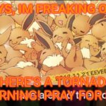 I hope I'll be okay... | GUYS, IM FREAKING OUT! THERE'S A TORNADO WARNING! PRAY FOR ME! | image tagged in the_non-popular_eevee announcement template | made w/ Imgflip meme maker