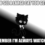I'M SWEATY FOR LIFE | WHEN YOU SEE A LARGE CAT YOU GET SWEATY; REMEMBER I'M ALWAYS WATCHING | image tagged in i'm sweaty for life | made w/ Imgflip meme maker