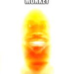 You are my sunshine | MONKEY | image tagged in you are my sunshine | made w/ Imgflip meme maker