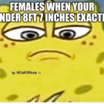 Sponge Bob Looking Down | FEMALES WHEN YOUR UNDER 8FT 7 INCHES EXACTLY | image tagged in sponge bob looking down | made w/ Imgflip meme maker