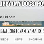 my dog thinks this (Ik not funny) | POPPY (MY DOGS) POV:; CAN I SUMMON PEOPLE BY BARKING | image tagged in why is the fbi here | made w/ Imgflip meme maker