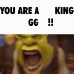 YOU ARE A KING GG !! meme