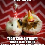 Guess waht! | HEY GUYS; TODAY IS MY BIRTHDAY! THANK U ALL FOR UR GOOFY AHH MEMES AND UPVOTES! | image tagged in guinea pig birthday,birthday,memes,funny,guinea pigs,cute | made w/ Imgflip meme maker