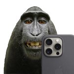 $NARUTO the selfie monkey