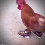 Chicken drip meme
