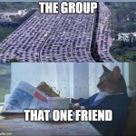 IN BETWEEN CHAOS | THE GROUP; THAT ONE FRIEND | image tagged in cat reading newspaper | made w/ Imgflip meme maker