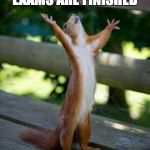 Law School Exams | EXAMS ARE FINISHED I HAVE MY LIFE BACK | image tagged in insane squirrel | made w/ Imgflip meme maker