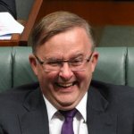 Albo gas