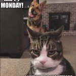 Monday People are the worst | HAPPY MONDAY! I LIVE WITH A NIGHTMARE. | image tagged in happy dog and annoyed cat,monday,monday face,memes,weekend,work sucks | made w/ Imgflip meme maker