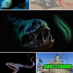 Funny | GIANT STINGRAY; GIANT STINGRAY | image tagged in funny,ocean,swimming,summer,boat,fish | made w/ Imgflip meme maker