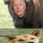 funny animal meme | FRIENDS | image tagged in joe bison,funny animals,shadydingo,bison,animals,funny memes | made w/ Imgflip meme maker