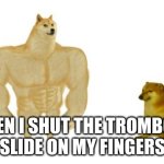 Doge before after | WHEN I SHUT THE TROMBONE 
SLIDE ON MY FINGERS | image tagged in doge before after | made w/ Imgflip meme maker